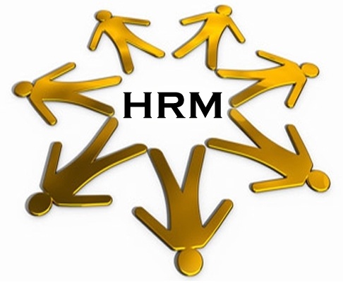 Phần mềm quản lý nhân sự neoHRM