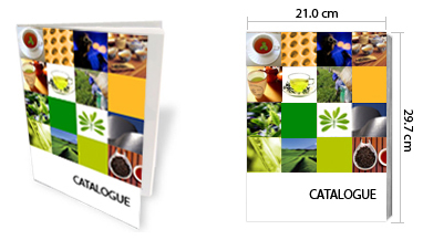 Dịch vụ thiết kế in Catalogue